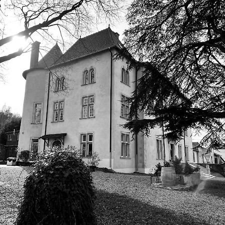 Bed And Breakfast Le Chateau De Morey Belleau Luaran gambar