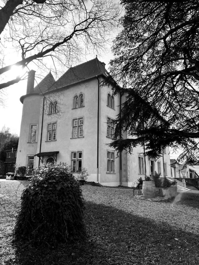 Bed And Breakfast Le Chateau De Morey Belleau Luaran gambar