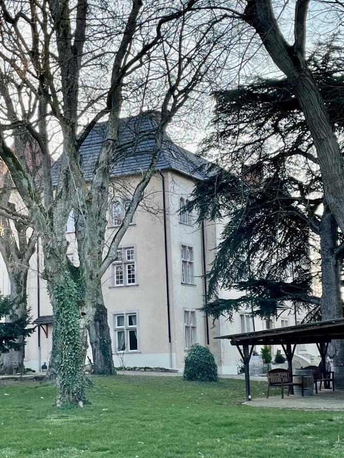 Bed And Breakfast Le Chateau De Morey Belleau Luaran gambar